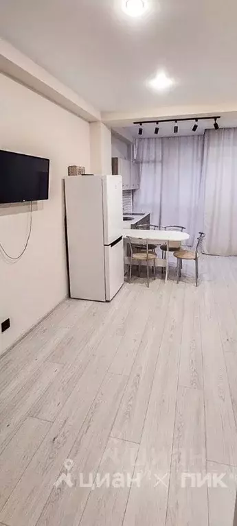 Студия Краснодарский край, Сочи ул. Высокогорная, 47/2 (27.0 м) - Фото 0
