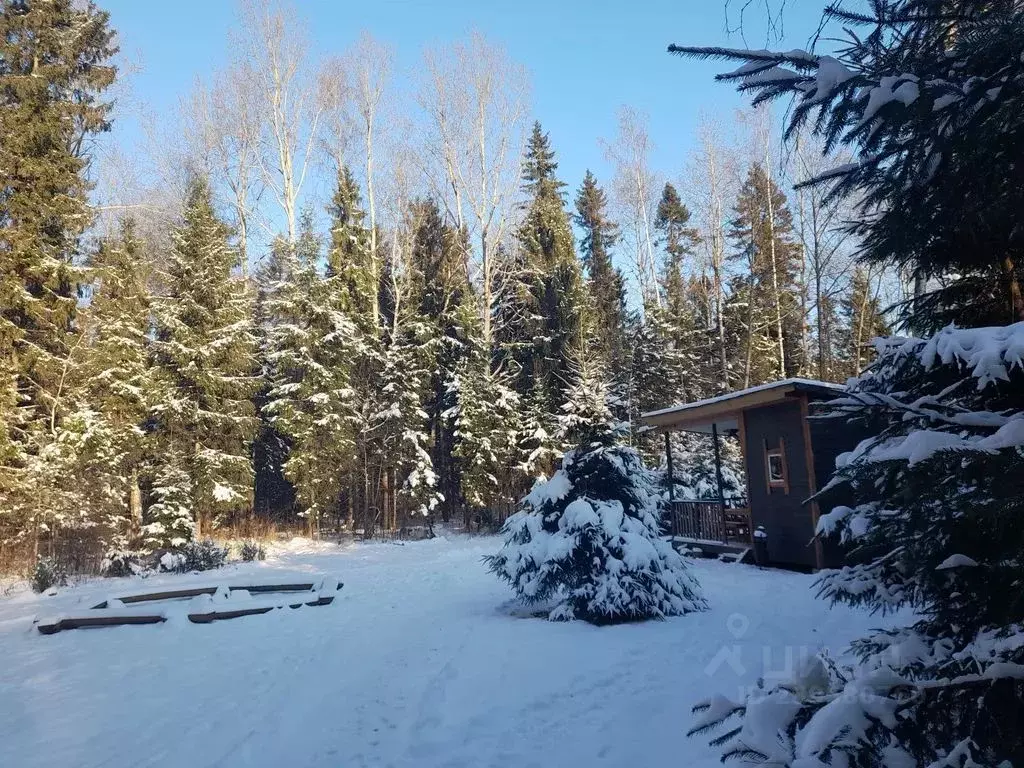 Дом в Ярославская область, Гаврилов-Ямский муниципальный округ, ... - Фото 2