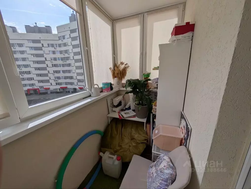 1-к кв. Нижегородская область, Нижний Новгород ул. Маршала Баграмяна, ... - Фото 1