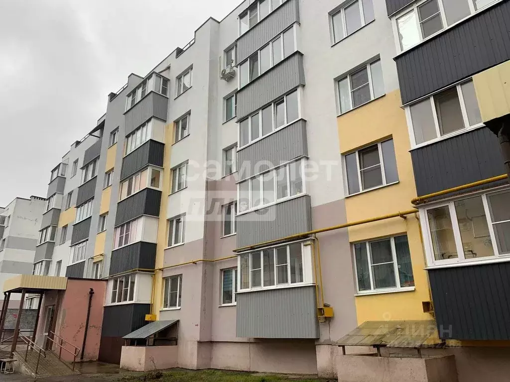 1-к кв. Пензенская область, Пенза ул. Сузюмова, 10 (28.5 м) - Фото 1