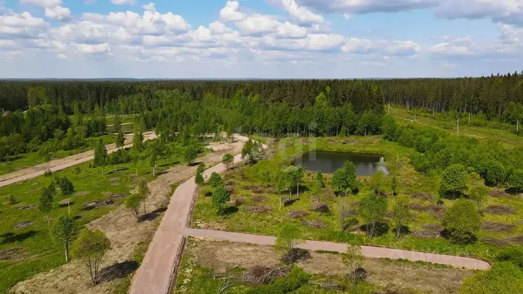 Участок в Ленинградская область, Выборгский район, Рощинское городское ... - Фото 1