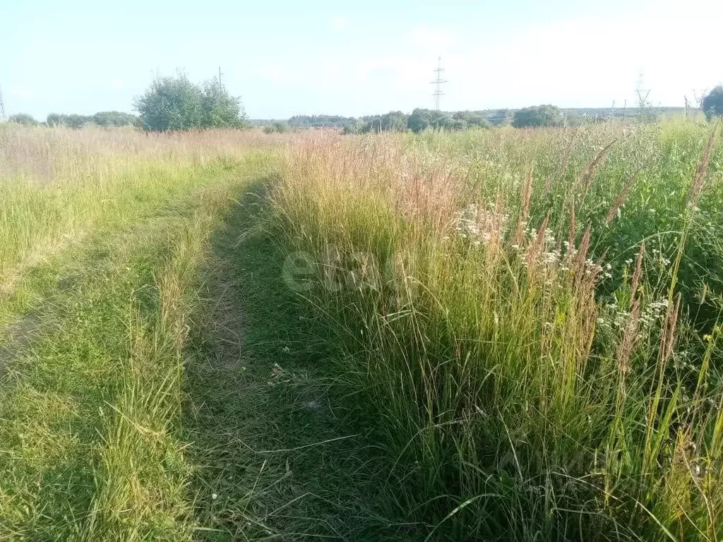 Участок в Калужская область, Жиздринский муниципальный округ, Огорь ... - Фото 1