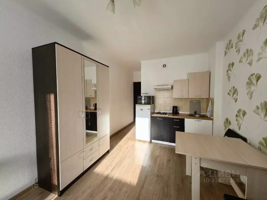 Студия Санкт-Петербург просп. Ветеранов, 169к3 (23.6 м) - Фото 2