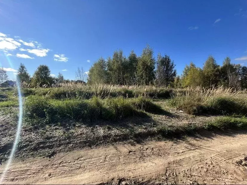 Участок в Тверская область, Калининский муниципальный округ, д. ... - Фото 0