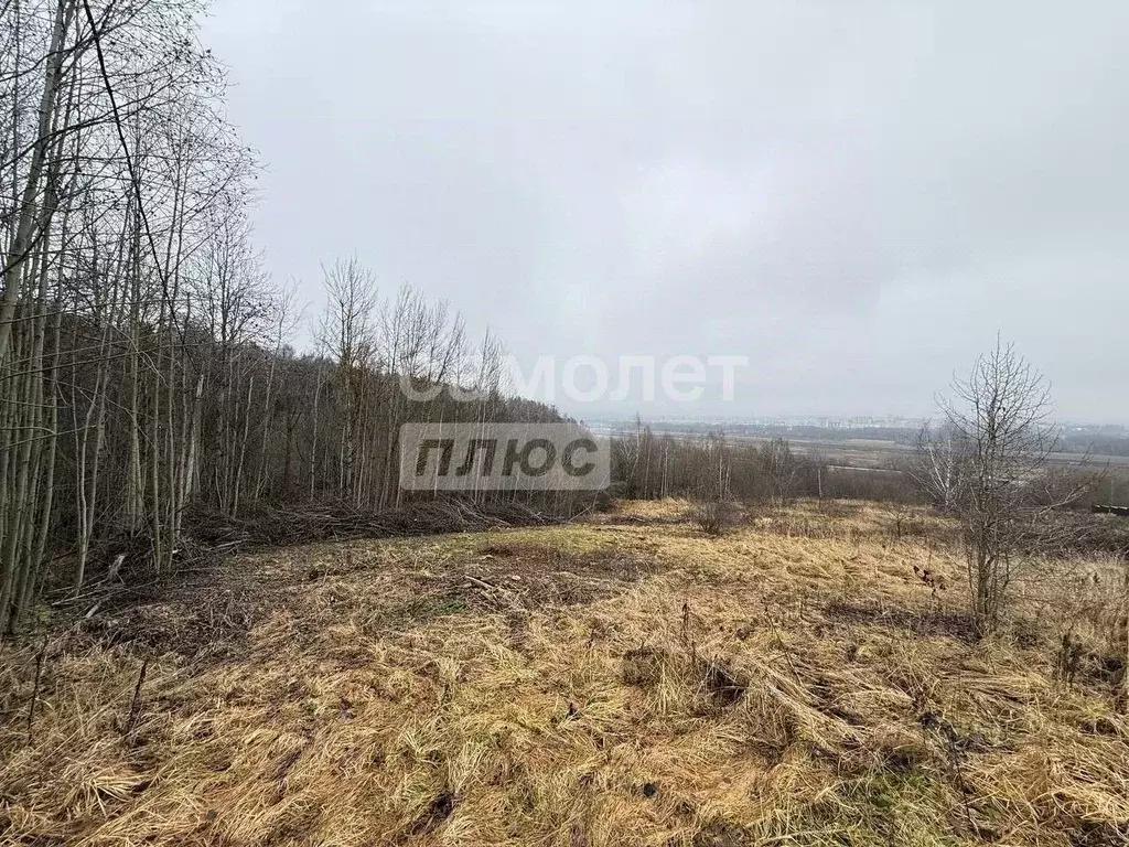 Участок в Московская область, Дмитровский муниципальный округ, д. ... - Фото 2