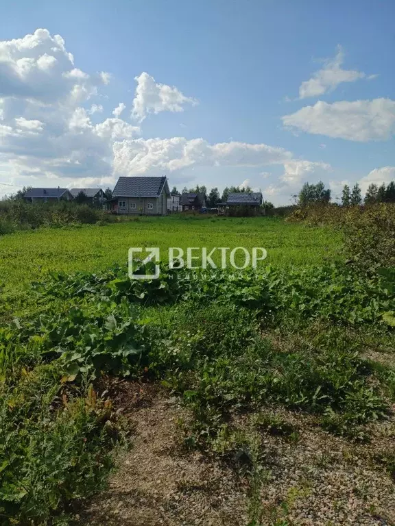 Участок в Ярославская область, Ярославский муниципальный округ, ... - Фото 1