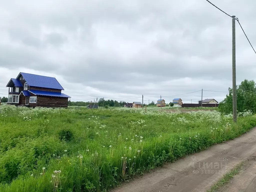 Участок в Архангельская область, Приморский муниципальный округ, ... - Фото 0