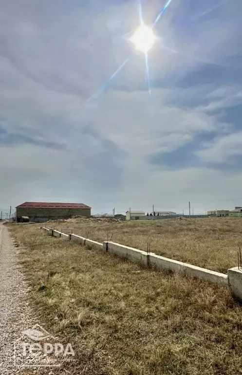 Участок в Крым, Черноморский район, с. Межводное ул. Карлеутская, 30 ... - Фото 2