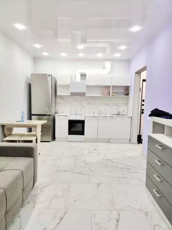 Студия Новосибирская область, Новосибирский район, Мочищенский ... - Фото 1