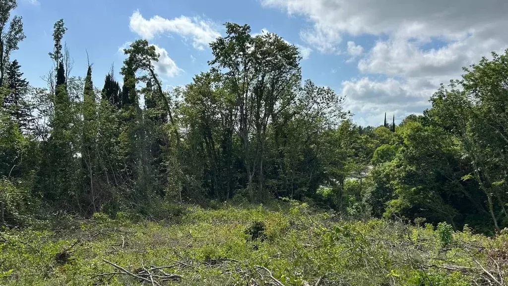 Участок в Краснодарский край, Сочи Аше мкр,  (6.3 сот.) - Фото 0