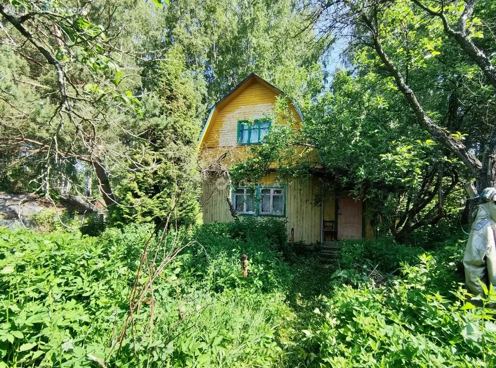 Дом в Богородский городской округ, СНТ Берёзка-2 (66 м) - Фото 1
