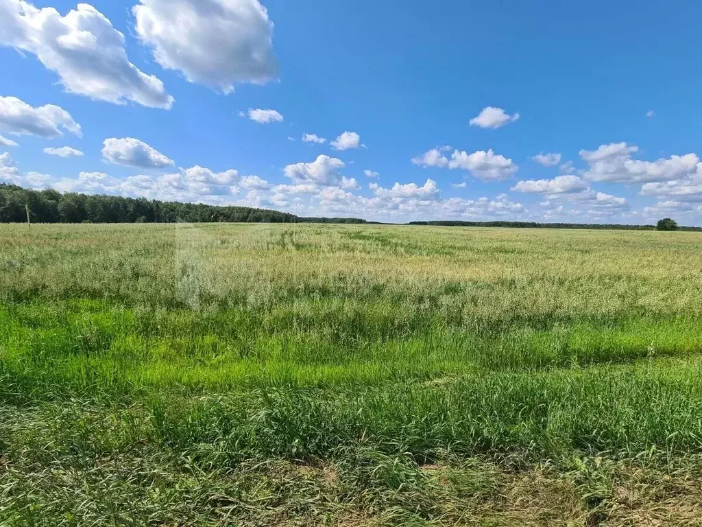 Участок в Тюменская область, Тюменский район, Онегин кп ул. Мирная ... - Фото 0