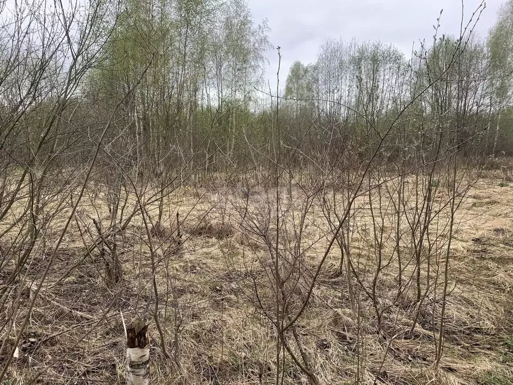 Участок в Костромской район, Бакшеевское сельское поселение, СНТ ... - Фото 1