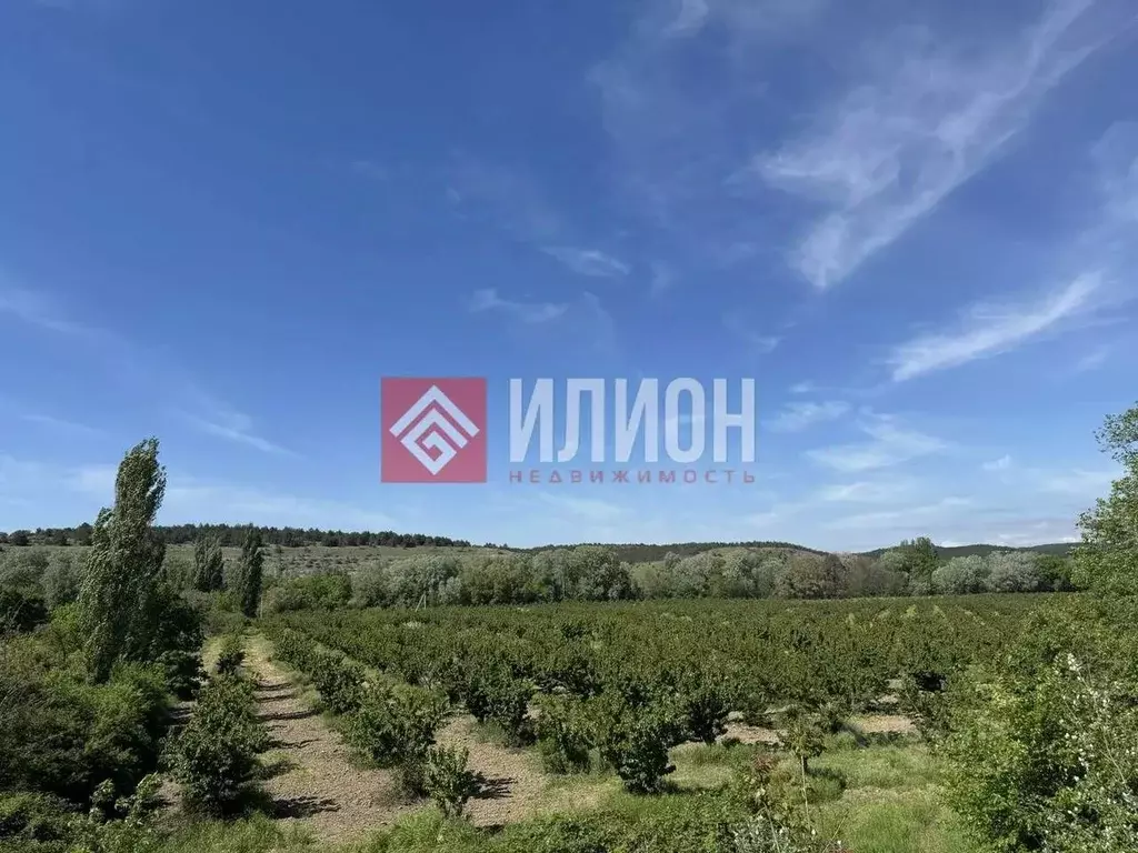 Участок в Севастополь с. Поворотное,  (6.0 сот.) - Фото 2
