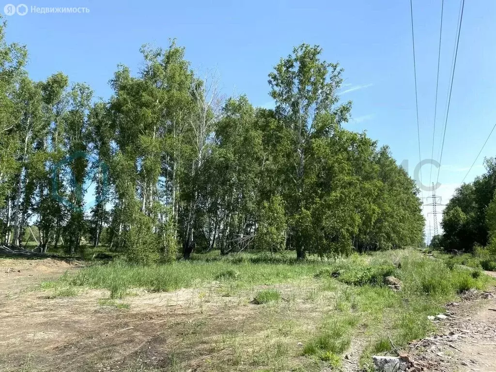Участок в муниципальный округ Омский район, деревня Ракитинка ... - Фото 2