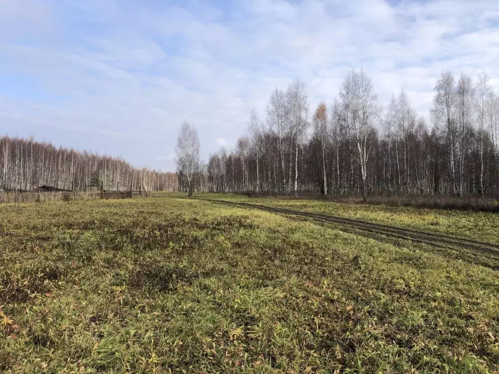 Участок в Тульская область, Заокский район, Страховское с/пос, д. ... - Фото 1