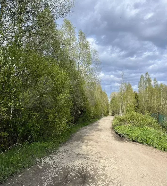 Участок 10 сот. (СНТ, ДНП) - Фото 1