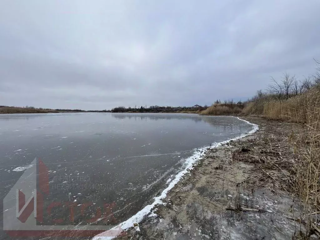 Участок в Саратовская область, Энгельсский район, Новопушкинское ... - Фото 1