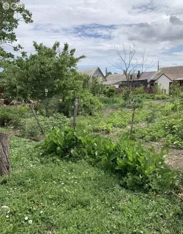 Участок в посёлок Виноградный, улица Лермонтова (16 м) - Фото 0