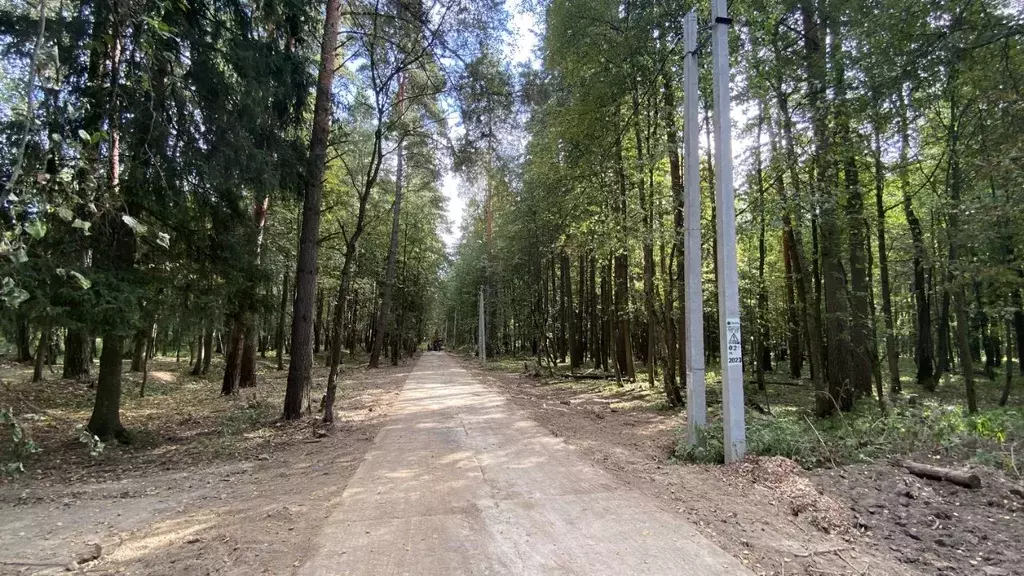 Участок в Московская область, Чехов городской округ, д. Прохорово ул. ... - Фото 0