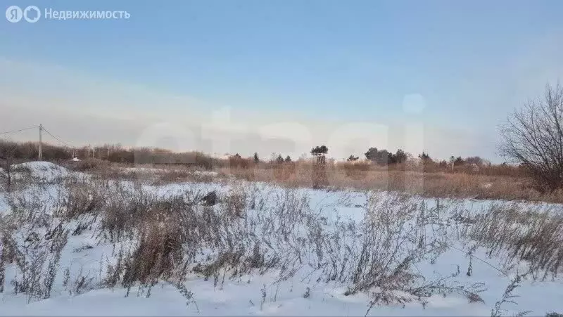 Участок в Амурская область, Благовещенск (13.85 м) - Фото 1