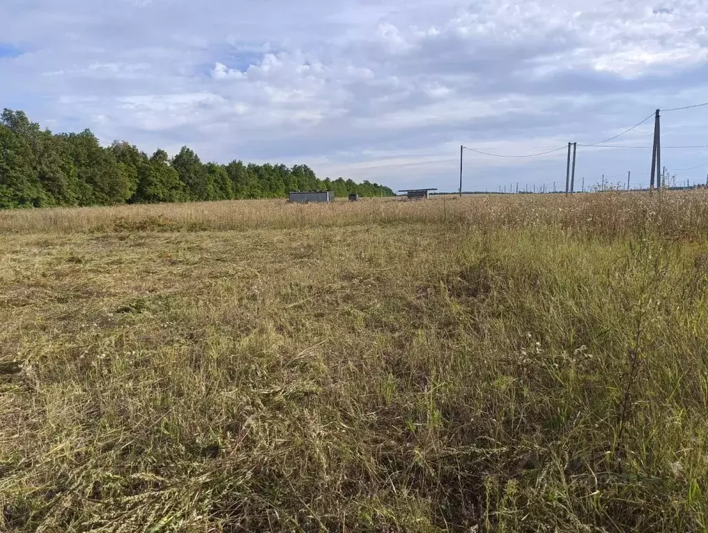 Участок в Татарстан, Нижнекамский район, Майскогорское с/пос, д. ... - Фото 2