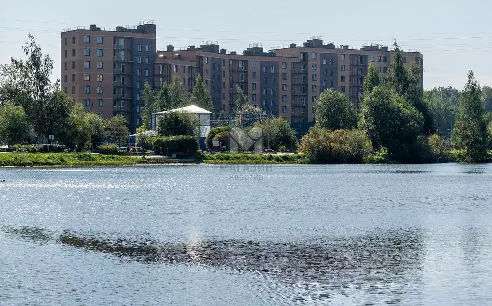 1-к кв. Ленинградская область, Всеволожский район, д. Новое Девяткино ... - Фото 1