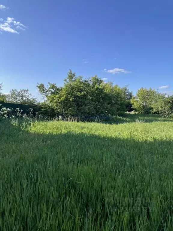 Участок в Нижегородская область, Дальнеконстантиновский муниципальный ... - Фото 2