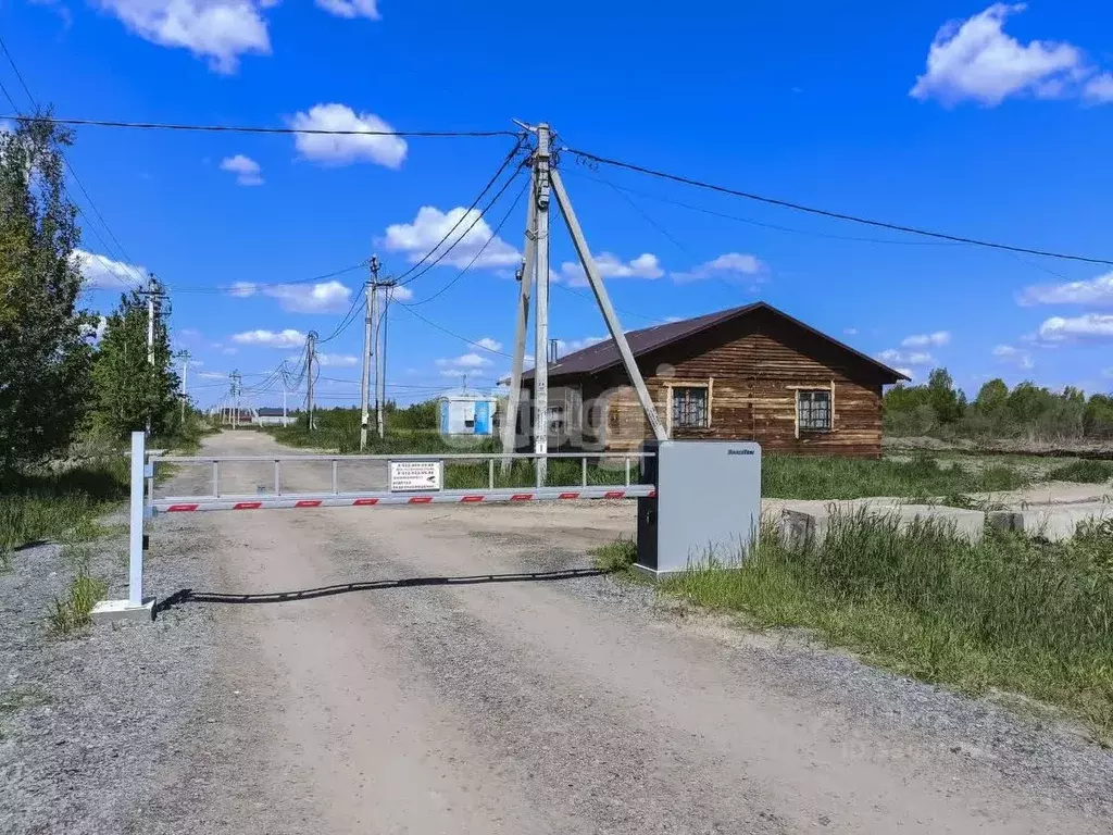 Участок в Тюменская область, Тюмень Большое Царево-1 СНТ,  (10.0 сот.) - Фото 1