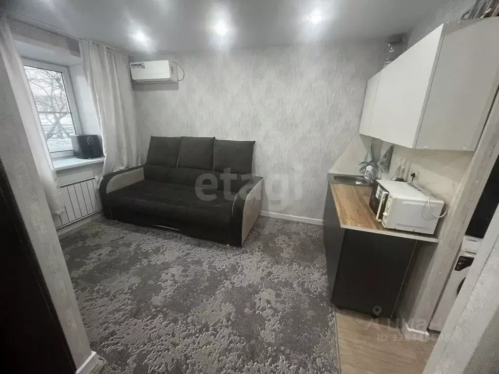 2-к кв. Курганская область, Курган Чернореченская ул., 91А (22.0 м) - Фото 1