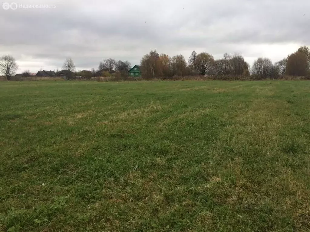 Участок в Тверская область, Кимрский муниципальный округ, деревня ... - Фото 2