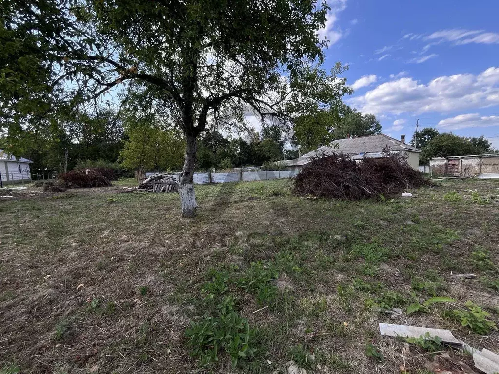 Участок в Краснодарский край, Апшеронский район, Нефтегорское ... - Фото 1