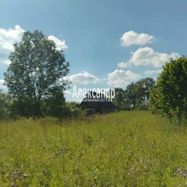 Участок в Ленинградская область, Волосовский район, Большеврудское ... - Фото 2
