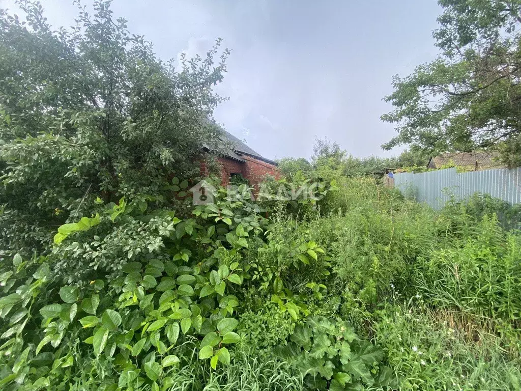 Дом в Белгородская область, Яковлевский муниципальный округ, с. ... - Фото 1