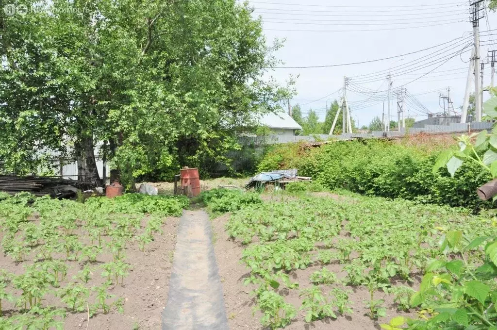 Участок в Хабаровск, улица Полины Осипенко, 48 (6.35 м) - Фото 1