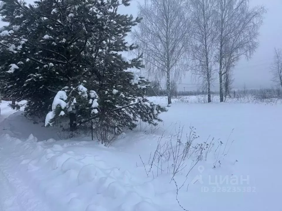 Участок в Московская область, Кашира Летняя ул. (8.88 сот.) - Фото 2