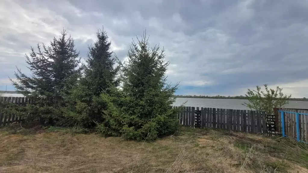 Участок в Томская область, Шегарский район, пос. Победа ... - Фото 2