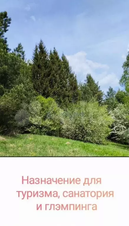 Участок 2,21 га (СНТ, ДНП) - Фото 1
