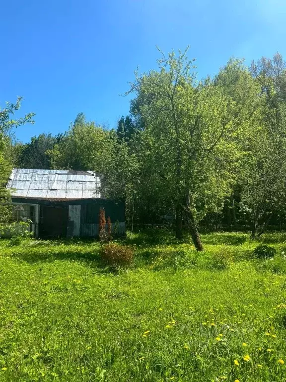 Дом в Калужская область, Калуга городской округ, с. Некрасово пер. ... - Фото 0