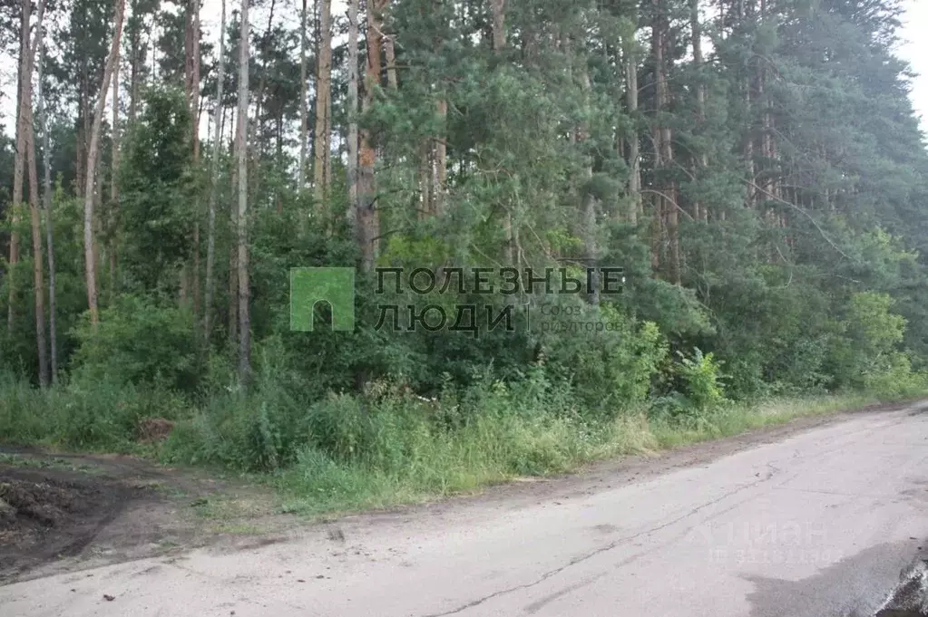 Участок в Тамбовская область, Тамбовский муниципальный округ, с. ... - Фото 1