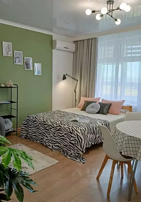 Студия Краснодарский край, Анапа ул. Верхняя Дорога, 151к2 (27.0 м) - Фото 2