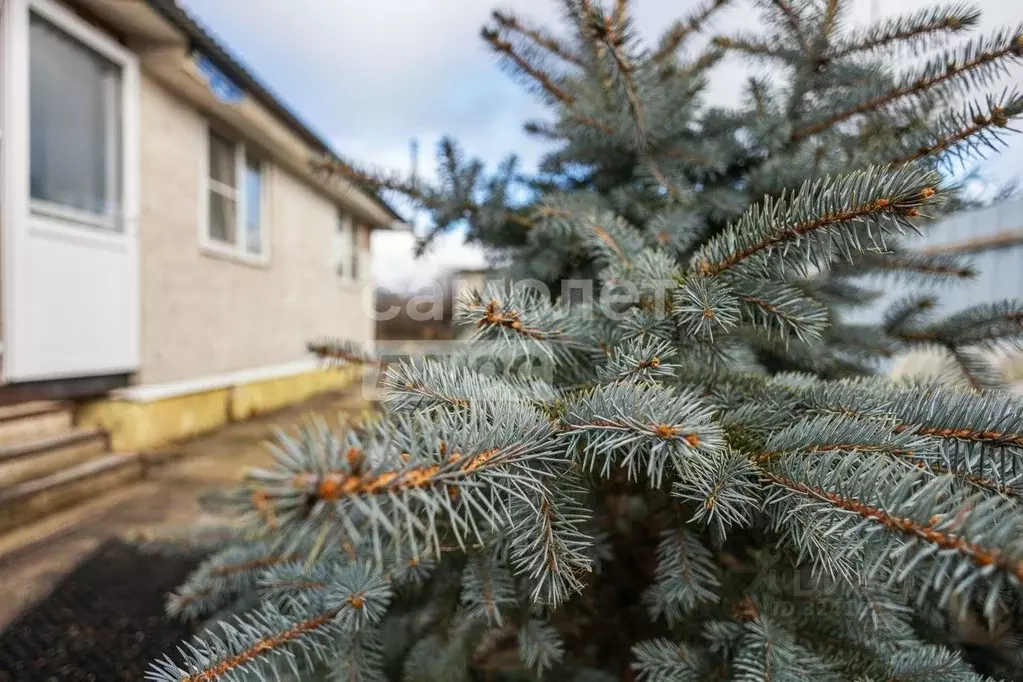 Дом в Омская область, Любинский район, с. Любино-Малороссы ... - Фото 1
