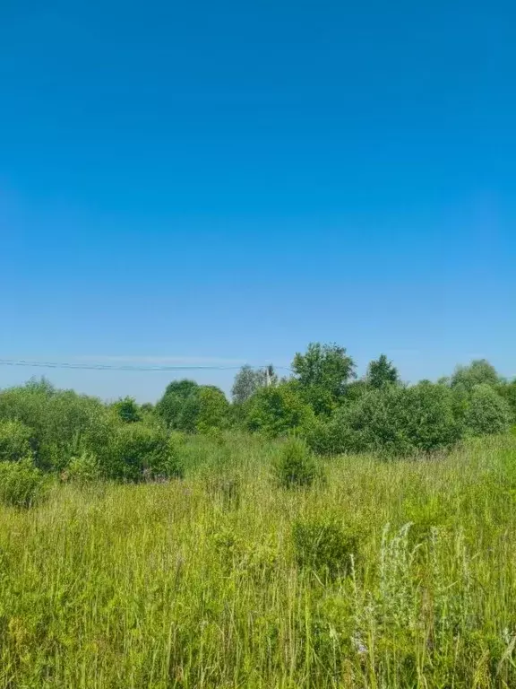 Участок в Московская область, Шатура муниципальный округ, с. Пустоша  ... - Фото 1