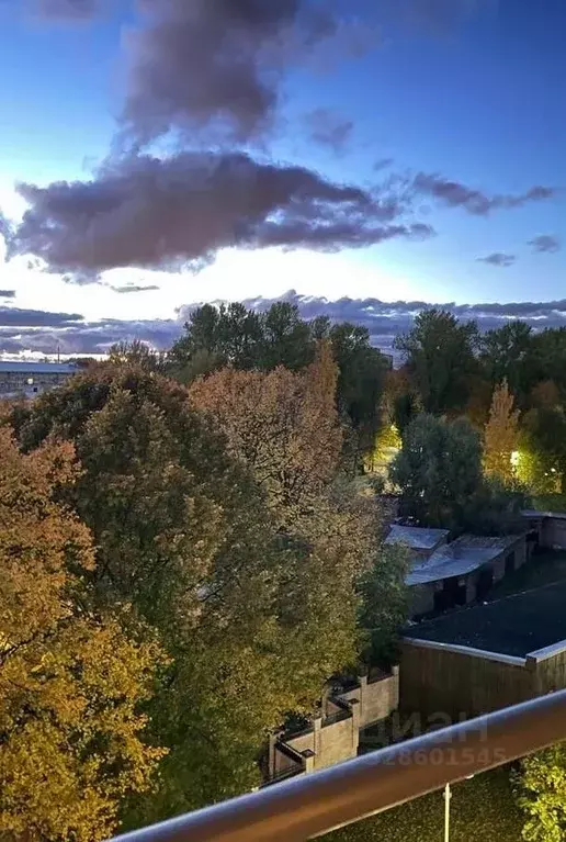 1-к кв. Санкт-Петербург просп. Медиков, 10к4 (41.7 м) - Фото 1