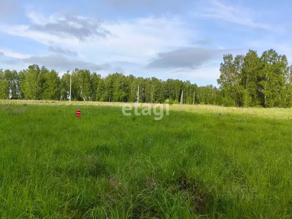 Участок в Новосибирская область, Бердск Раздольный мкр,  (9.52 сот.) - Фото 0