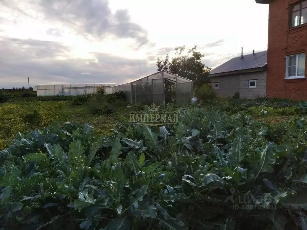 Дом в Марий Эл, Оршанский район, Марковское с/пос, с. Табашино ул. ... - Фото 1