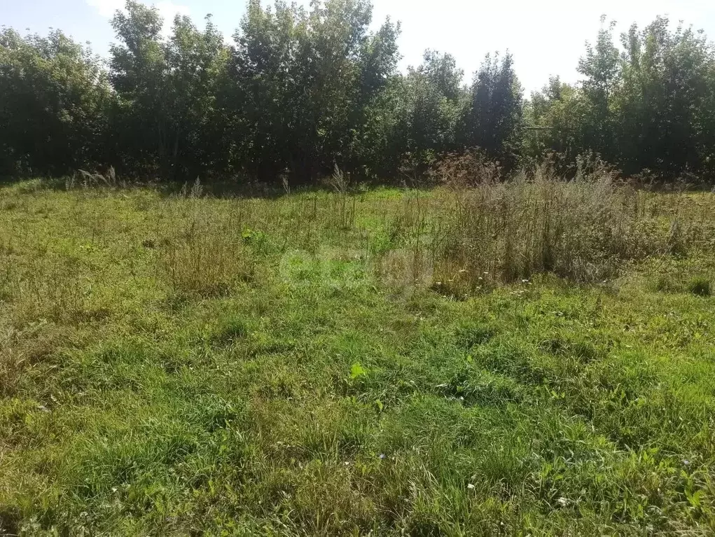 Участок в Татарстан, Высокогорский район, с. Мульма  (13.0 сот.) - Фото 1