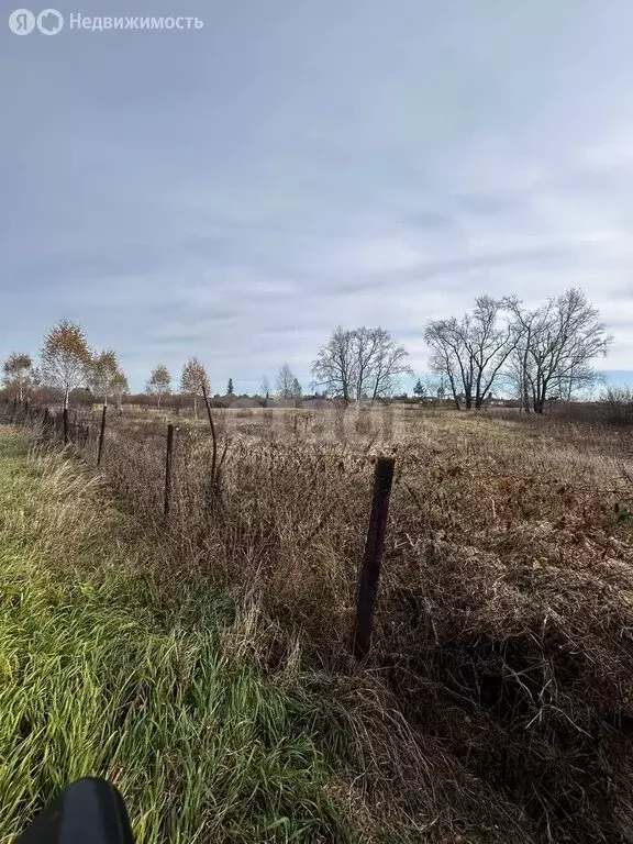 Участок в село Раздольное, Луговая улица (20 м) - Фото 1