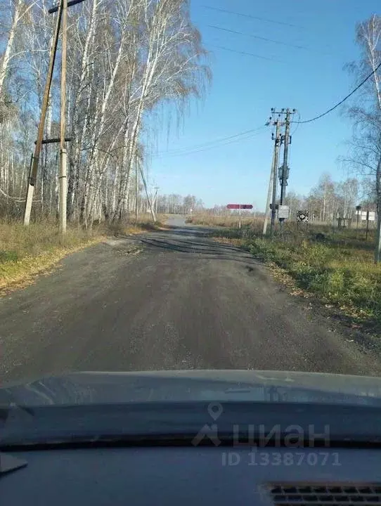 Участок в Новосибирская область, Новосибирский район, с. Боровое ... - Фото 0