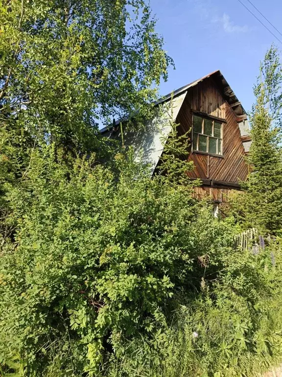 Дом в Красноярский край, Емельяновский муниципальный округ, Учитель-1 ... - Фото 2